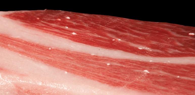 Tirosina Iberica de belloa